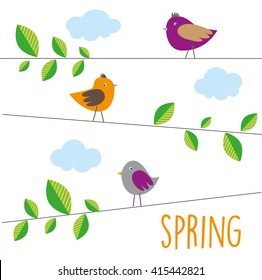 Spring background with birds on tree branch 