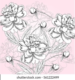 Spring  background with black and white peony. Vector illustration