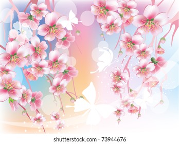 Spring background. Blooming branches against the sky