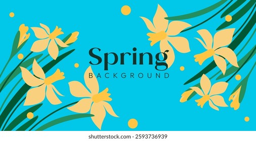 Spring background with blooming daffodils in vector, flat style.