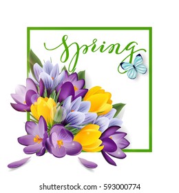 Spring background with blooming spring flowers, crocuses. Vector illustration