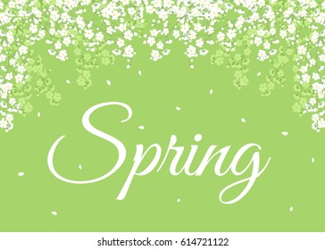 Spring background with blooming flowers on tree branch