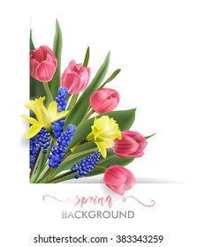 Spring background with Blooming spring  flowers, tulips, Narcissus, Muscari. Spring  Concept.   Template Vector.