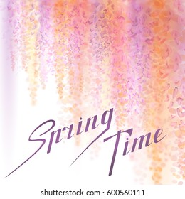 Spring background with blooming wisteria. 