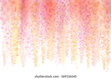 Spring background with blooming wisteria. Beautiful pink flowers on a white background