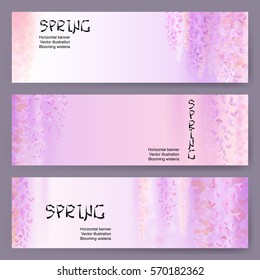 Spring background with blooming wisteria, horizontal banner. Suitable for greeting cards to the birthday, Valentine's Day, 8 March,  Women's Day, Wedding invitations. Spring discounts and sales