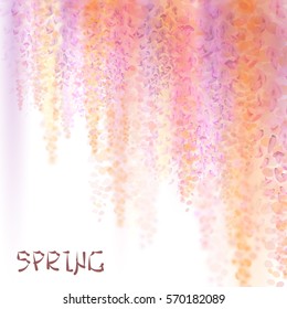 Spring background with blooming wisteria. Suitable for greeting cards to the birthday, Valentine's Day, March 8, International Women's Day, wedding invitations. Spring discounts and sales.