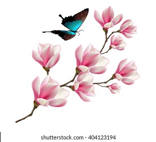 Spring background with blossom brunch of pink magnolia flowers and butterfly. Vector