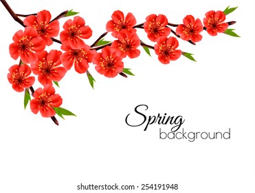 Fondo primaveral con brunch floreciente de flores rojas. Vector