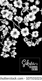 Spring  background with blossom brunch of sakura flowers. Black-and-white graphics. Template with place for text. Stock vector illustration. Good for gift voucher, card, banner.