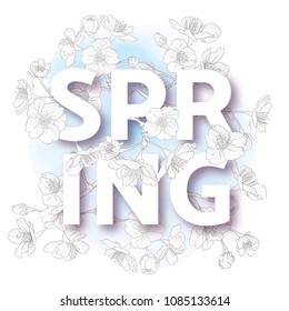 Spring  background with blossom brunch of sakura flowers in soft blue color.  Template with place for text. Stock vector illustration. Good for gift voucher, card, banner.