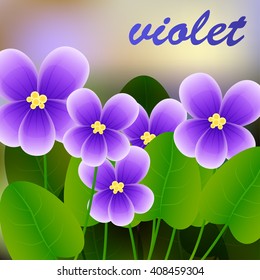 Spring background with blossom brunch of violet flowers. Vector illustration