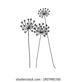 Spring background with blossom dandelions on white. decorative dandelions vector sketch illustration