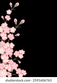 Spring background with blossoming sakura branch, branch of blossoming Japanese cherry on black background. Vertical format A4 with copy space.