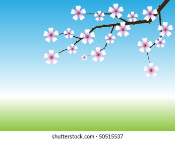 Spring background with blossoming tree branch with copy space.