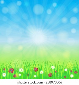 Spring background with blue sky, green grass, flowers. Bokeh and light  effect. Vector eps 10