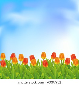 Spring background with blue sky and tulips. Clipping Mask