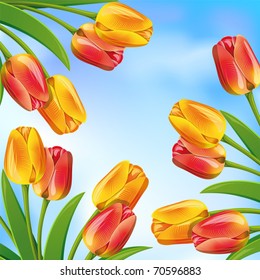 Spring background with blue sky and tulips.Clipping Mask