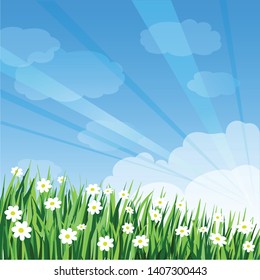 spring background, blue sky with white clouds ,green grass and white flowers, cartoon design