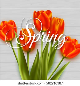 Spring background with bouquet of red tulips on the wooden table. Vector illustration.
