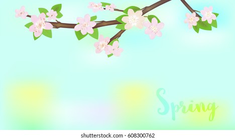 Spring background of branch with blossoms
