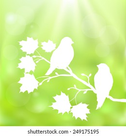 Spring background with branch of maple and birds on a blurred green background