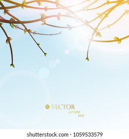 spring background, branches with buds, spring, vector