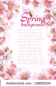 Spring background with cherry blossom