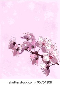 Spring  background with cherry blossom