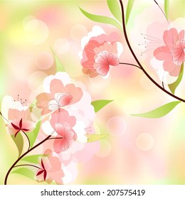 spring background with cherry blossoms