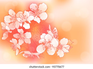Spring background with cherry blossoms