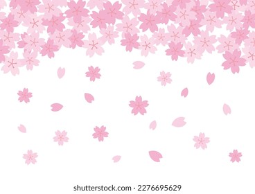 Spring Background with Cherry Petals Falling, vector illustration