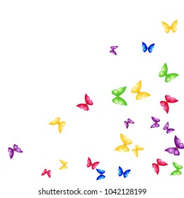 Spring Background with Colorful Butterflies. Simple Feminine Pattern for Card, Invitation, Print. Trendy Decoration with Beautiful Butterfly Silhouettes. Vector Background with Moth

