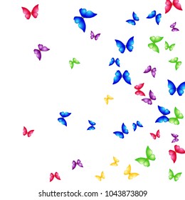 Spring Background with Colorful Butterflies. Simple Feminine Pattern for Card, Invitation, Print. Trendy Decoration with Beautiful Butterfly Silhouettes. Vector Background with Moth

