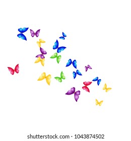 Spring Background with Colorful Butterflies. Simple Feminine Pattern for Card, Invitation, Print. Trendy Decoration with Beautiful Butterfly Silhouettes. Vector Background with Moth

