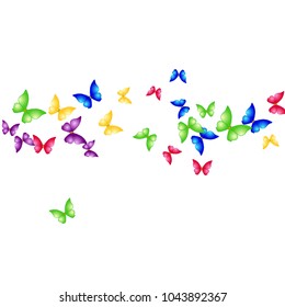 Spring Background with Colorful Butterflies. Simple Feminine Pattern for Card, Invitation, Print. Trendy Decoration with Beautiful Butterfly Silhouettes. Vector Background with Moth
