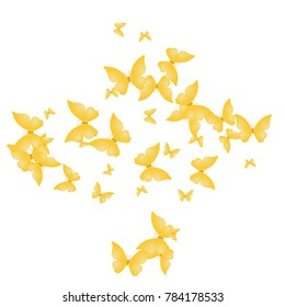 Spring Background with Colorful Butterflies. Simple Feminine Pattern for Card, Invitation, Print. Trendy Decoration with Beautiful Butterfly Silhouettes. Vector Background with Moth
