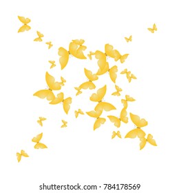 Spring Background with Colorful Butterflies. Simple Feminine Pattern for Card, Invitation, Print. Trendy Decoration with Beautiful Butterfly Silhouettes. Vector Background with Moth
