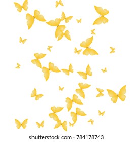 Spring Background with Colorful Butterflies. Simple Feminine Pattern for Card, Invitation, Print. Trendy Decoration with Beautiful Butterfly Silhouettes. Vector Background with Moth
