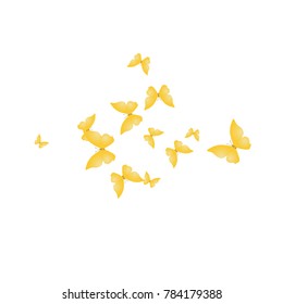 Spring Background with Colorful Butterflies. Simple Feminine Pattern for Card, Invitation, Print. Trendy Decoration with Beautiful Butterfly Silhouettes. Vector Background with Moth
