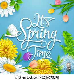 Spring background with colorful various flowers. It's spring time