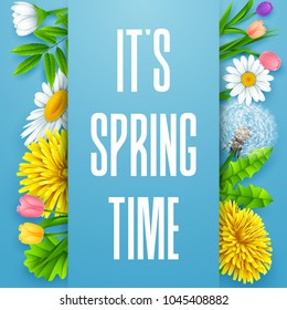 Spring background with colorful various flowers. It's spring time