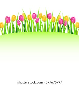  Spring background with colorfull tulips. Vector illustration.