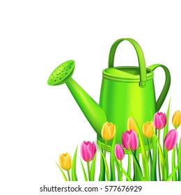 Spring background with colorfull tulips and watering cans. Vector illustration.