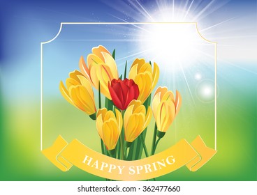 Spring background with crocus flowers and tulips. Copy space for your own text.