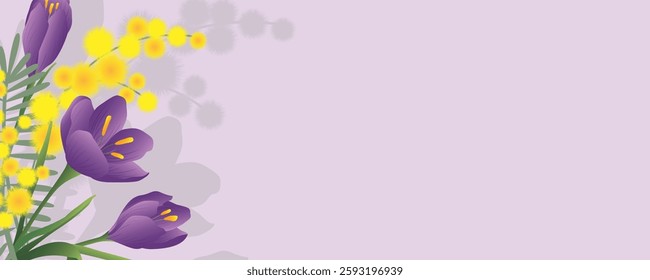Spring background with crocus and mimosa flowers. Horizontal format with copy space.