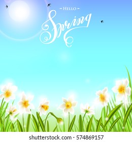 Spring background with daffodil narcissus flowers, green grass, swallows, lettering Spring and blue sky. Can be used for Easter, birthday, wedding, anniversary, 8 march, woman's day. Seasonal sales.