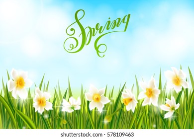 Spring background with daffodil narcissus flowers, green grass, swallows, lettering Spring and blue sky. Can be used for Easter, birthday, wedding, anniversary, 8 march, woman's day. Seasonal sales.