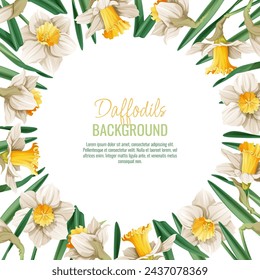 Spring background with daffodils. Postcard, banner for Easter. Spring time. Frame with delicate spring flowers.