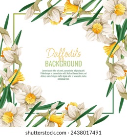 Spring background with daffodils. Postcard, banner for Easter. Spring time. Frame with delicate spring flowers.